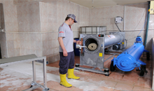 İzmir Halı Sıkma İşlemi